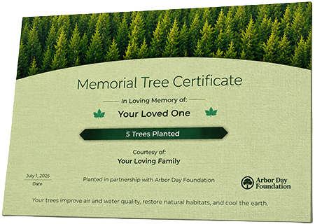 Plant Trees in Memory of Mrs. Rose Etta Lenton